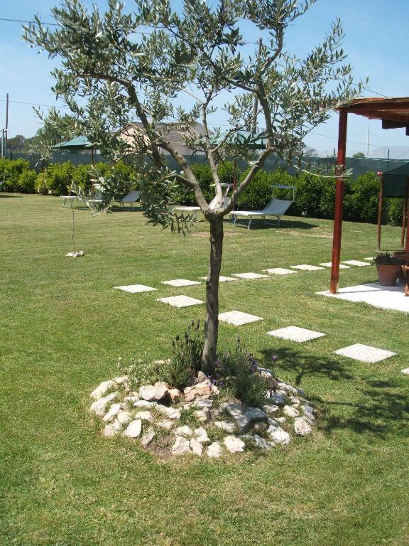 La Locanda Country House Borgo Montenero Exterior photo